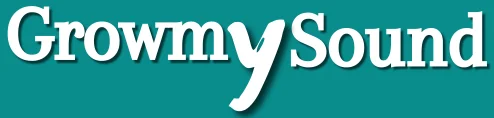 GrowMySound : Spotify Creator`s Growth Service